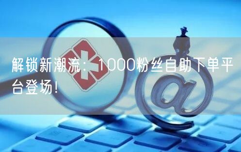 解锁新潮流：1000粉丝自助下单平台登场！