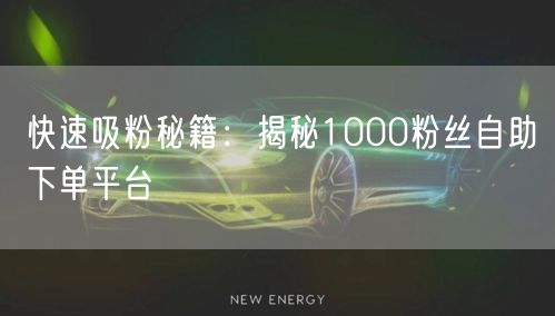 快速吸粉秘籍：揭秘1000粉丝自助下单平台
