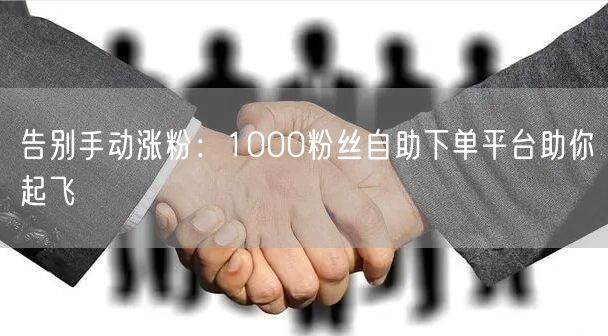 告别手动涨粉：1000粉丝自助下单平台助你起飞