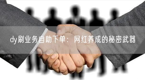 dy刷业务自助下单：网红养成的秘密武器