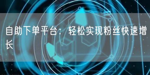 自助下单平台：轻松实现粉丝快速增长