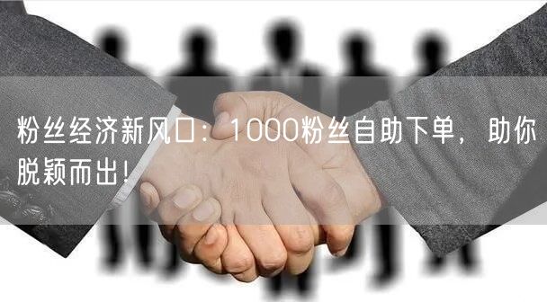 粉丝经济新风口：1000粉丝自助下单，助你脱颖而出！
