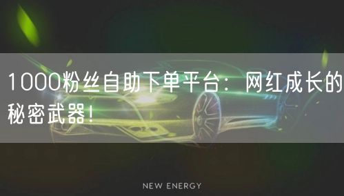 1000粉丝自助下单平台：网红成长的秘密武器！