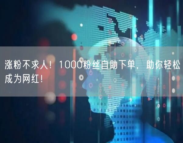 涨粉不求人！1000粉丝自助下单，助你轻松成为网红！