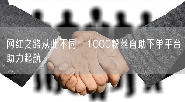 网红之路从此不同：1000粉丝自助下单平台助力起航