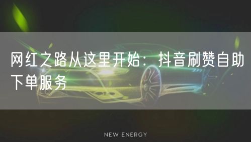 网红之路从这里开始：抖音刷赞自助下单服务