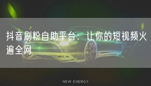 抖音刷粉自助平台：让你的短视频火遍全网