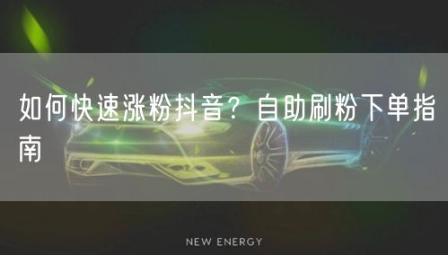 如何快速涨粉抖音？自助刷粉下单指南