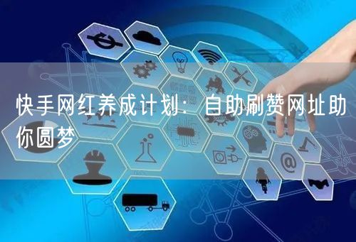快手网红养成计划：自助刷赞网址助你圆梦