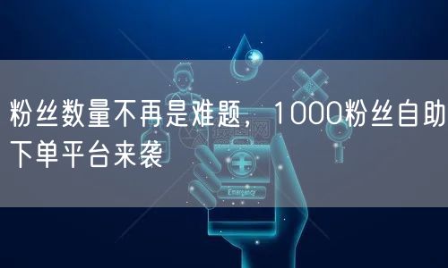 粉丝数量不再是难题，1000粉丝自助下单平台来袭