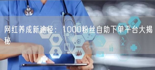 网红养成新途径：1000粉丝自助下单平台大揭秘