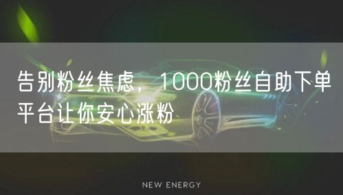 告别粉丝焦虑，1000粉丝自助下单平台让你安心涨粉