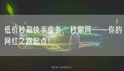 低价秒刷快手业务，秒刷网——你的网红之路起点！