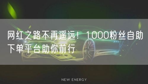 网红之路不再遥远！1000粉丝自助下单平台助你前行
