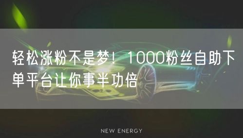 轻松涨粉不是梦！1000粉丝自助下单平台让你事半功倍