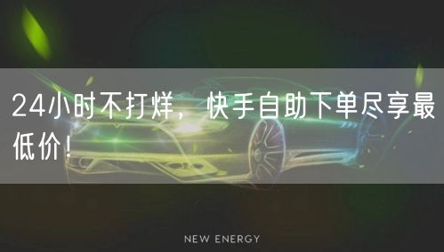 24小时不打烊，快手自助下单尽享最低价！