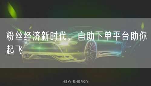 粉丝经济新时代，自助下单平台助你起飞