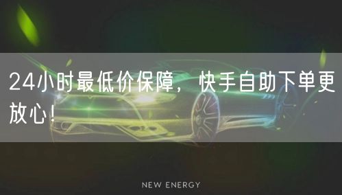 24小时最低价保障，快手自助下单更放心！