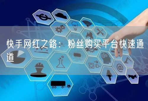 快手网红之路：粉丝购买平台快速通道