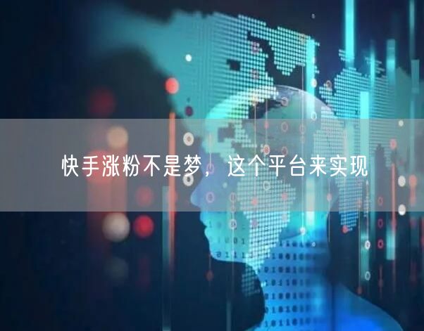 快手涨粉不是梦，这个平台来实现