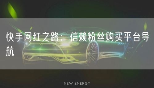 快手网红之路：信赖粉丝购买平台导航