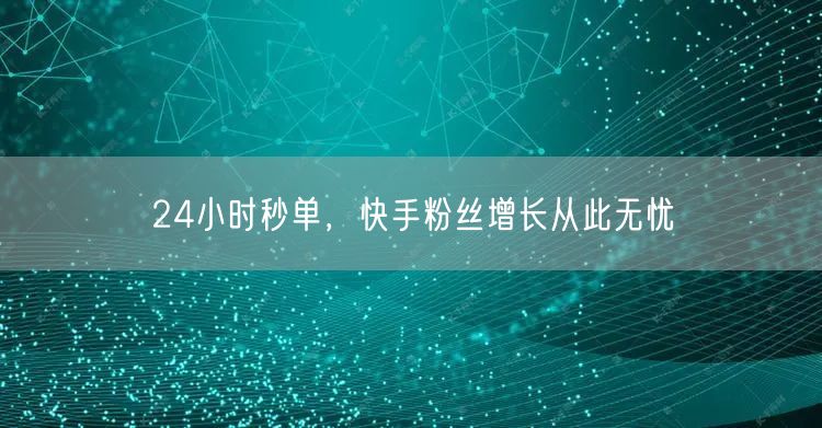 24小时秒单，快手粉丝增长从此无忧