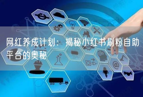 网红养成计划：揭秘小红书刷粉自助平台的奥秘