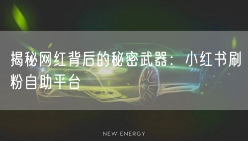 揭秘网红背后的秘密武器：小红书刷粉自助平台