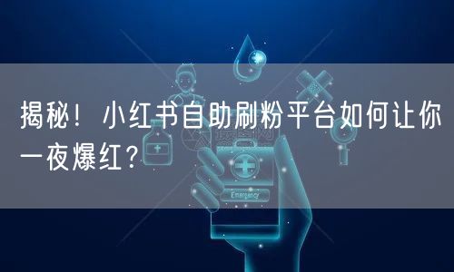 揭秘！小红书自助刷粉平台如何让你一夜爆红？