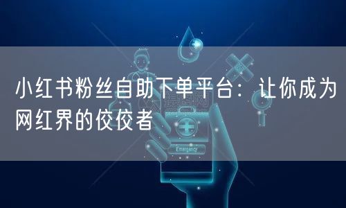 小红书粉丝自助下单平台：让你成为网红界的佼佼者