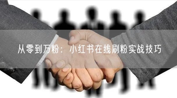 从零到万粉：小红书在线刷粉实战技巧