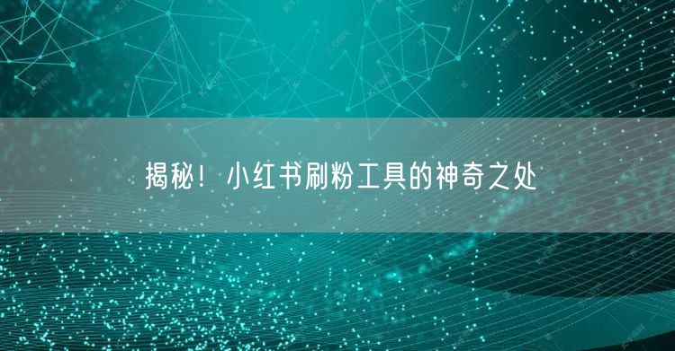揭秘！小红书刷粉工具的神奇之处