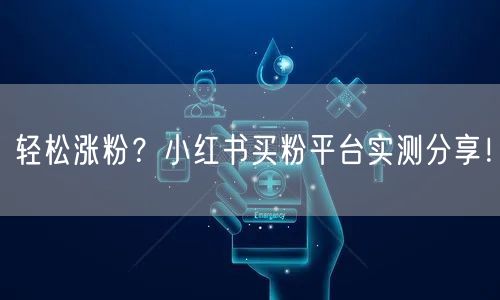 轻松涨粉？小红书买粉平台实测分享！