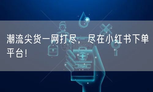 潮流尖货一网打尽，尽在小红书下单平台！