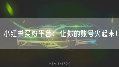 小红书买粉平台：让你的账号火起来！