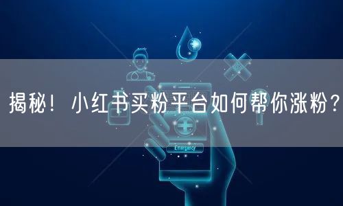 揭秘！小红书买粉平台如何帮你涨粉？