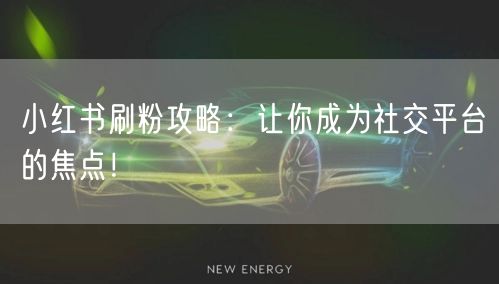 小红书刷粉攻略：让你成为社交平台的焦点！