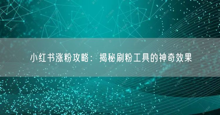 小红书涨粉攻略：揭秘刷粉工具的神奇效果