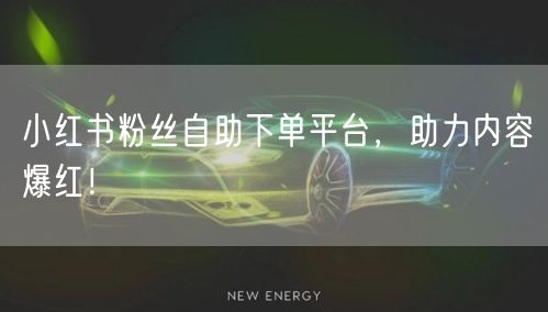 小红书粉丝自助下单平台，助力内容爆红！