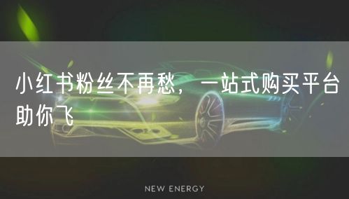 小红书粉丝不再愁，一站式购买平台助你飞