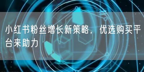 小红书粉丝增长新策略，优选购买平台来助力