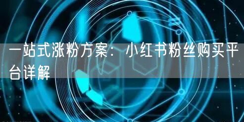 一站式涨粉方案：小红书粉丝购买平台详解