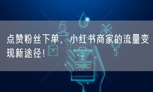点赞粉丝下单，小红书商家的流量变现新途径！