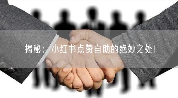 揭秘：小红书点赞自助的绝妙之处！