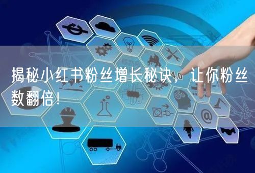 揭秘小红书粉丝增长秘诀，让你粉丝数翻倍！