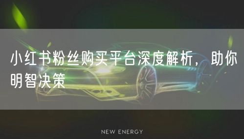 小红书粉丝购买平台深度解析，助你明智决策