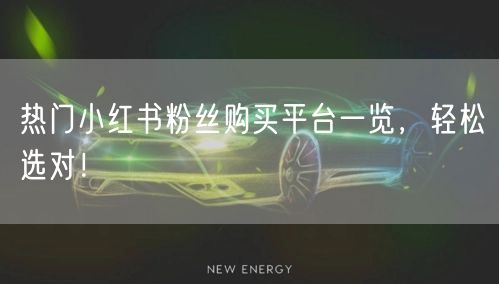 热门小红书粉丝购买平台一览，轻松选对！