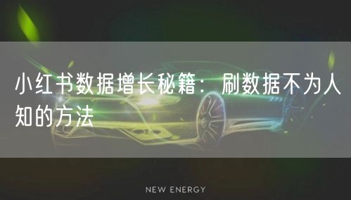 小红书数据增长秘籍：刷数据不为人知的方法