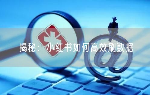 揭秘：小红书如何高效刷数据