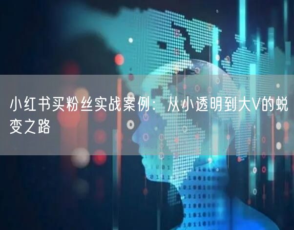 小红书买粉丝实战案例：从小透明到大V的蜕变之路